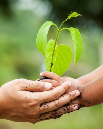 Child with parents hand holding young tree in soil together for prepare plant on ground,save world concept
